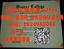 《揭秘伦敦学院毕业证含金量：全球精英摇篮的通行证！》