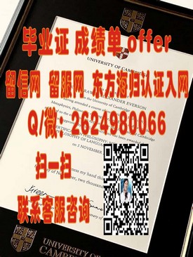 《哥本哈根信息技术大学文凭解析：详解丹麦顶尖IT教育成就》