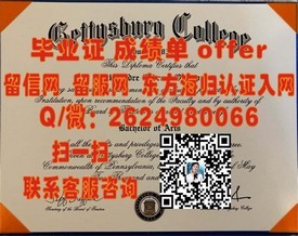 《解锁都柏林大学圣三一学院毕业证真面目：权威解析与申请攻略》