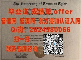 《南非开普半岛科技大学毕业证解析：权威认证，国际认可，留学就业佳选》
