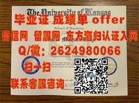 《柏林应用科学大学证书解析：揭秘真实学历含金量与就业前景》
