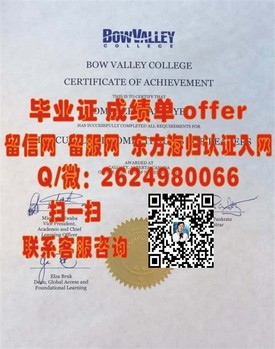 《大阪电气通信大学毕业生专享：揭秘真实毕业证样本及获取途径》