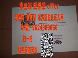 “解锁国际视野：揭秘南丹麦大学毕业证书的含金量与申请攻略”