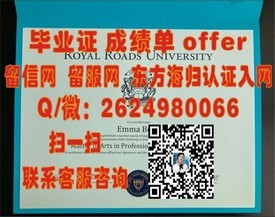 《东京艺术大学文凭揭秘：艺术精英的荣耀通行证》