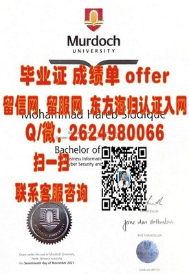 《奥塔哥大学权威认证：揭秘如何获取高含金量的毕业证书》