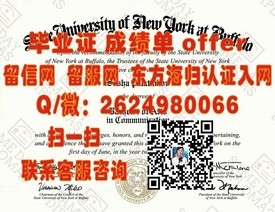 《揭秘千叶工业大学毕业证含金量：就业前景与名校认证解析》