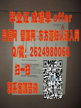 《新布伦瑞克大学毕业证书解析：详解学位含金量与就业优势》