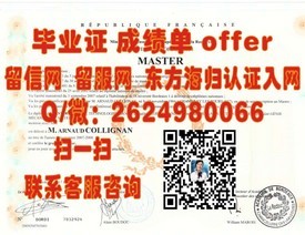 《里昂第一大学学位证书解析：权威认证，开启留学法国新篇章》