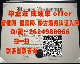 《东京艺术大学毕业生荣耀见证：权威毕业证背后的艺术力量》