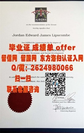 《福尔茅斯大学学院毕业证揭秘：权威认证，留学回国就业的黄金敲门砖》