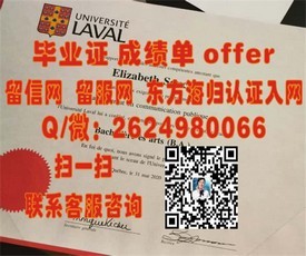 《瓦尔帕莱索大学学历认证：揭秘真实毕业证背后的含金量与价值》