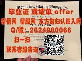 《揭秘伊尔梅瑙工业大学毕业证含金量：学历背后的全球认可与职业前景》