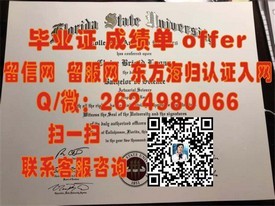 《乔治亚大学毕业证背后的含金量：揭秘真实学位认证与职业发展优势》