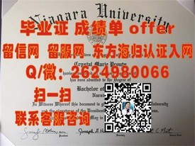 《九州产业大学官方认证毕业证详解：留学回国就业的黄金敲门砖》
