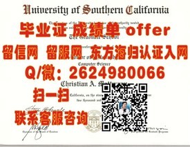 《荷兰萨克逊大学官方毕业证书详解：权威认证，留学必备！》