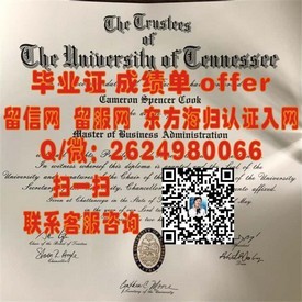 《世明大学官方认证毕业证详解：留学归国者的身份象征与求职利器》