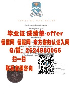 《帝京大学毕业证背后的故事：揭秘真实学位含金量与就业前景》