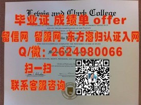 《香港理工大学毕业证含金量解析：如何辨别真伪，揭秘职场竞争优势》