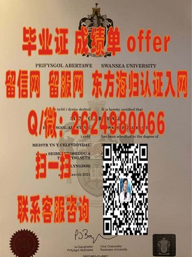 《爱知大学文凭揭秘：详解日本顶尖学府的学历认证与就业优势》
