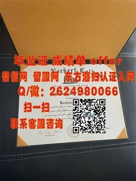 《静冈大学毕业证书：揭秘真实学位背后的留学价值与认证过程》
