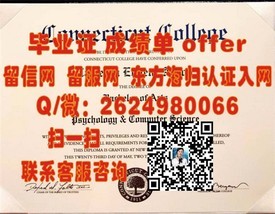 《谢菲尔德大学学历认证：揭秘真实毕业证书，留学必备攻略》