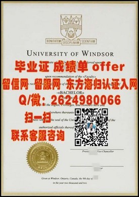 《荷兰阿姆斯特丹大学证书：全球认可的教育成就见证》