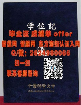 《法国兰斯大学文凭揭秘：全球认可的教育品质，你的留学梦想起航点》