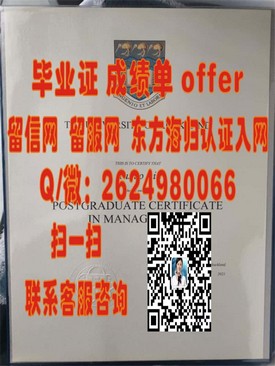 《南非夸祖鲁-纳塔尔大学文凭解析：获取国际认可的途径与优势》