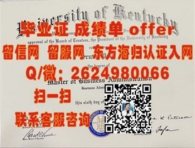 《德克萨斯大学达拉斯分校毕业证解析：权威认证背后的故事与价值》