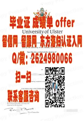 《揭秘苏塞克斯大学学位证书的含金量与申请攻略》