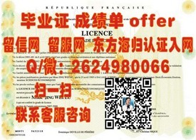 《英国苏塞克斯大学文凭解析：全面解读毕业证书的秘密与价值》