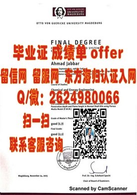 “MIT毕业证背后的价值：揭秘顶级学府的荣耀证书与未来机遇”
