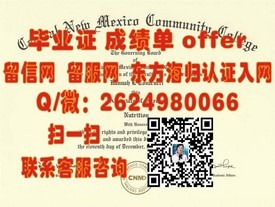 《都柏林理工学院毕业证：揭秘全球认可的学位证书，开启国际职场新篇章》