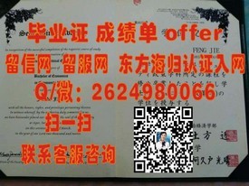 《探索都柏林大学圣三一学院毕业证书的含金量与独特价值》