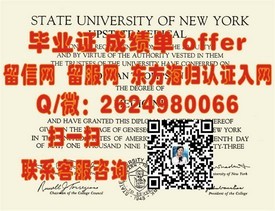 《麻省大学毕业证：权威认证，开启全球职场新篇章》