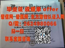 《千叶大学文凭解析：详解日本顶尖学府的毕业证书魅力》
