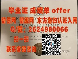 《华盛顿大学毕业证书：权威认证，开启全球精英之路》