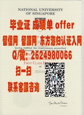 《巴黎第二大学证书解读：揭秘全球顶尖法学院的真实含金量》