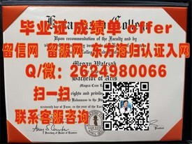 《南澳大学毕业证书解析：权威认证，留学求职的敲门砖》