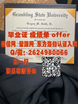 《揭秘伊尔梅瑙工业大学毕业证含金量：全球认可的工程教育证书》