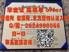 《新罗大学官方毕业证书详解：权威解读与申请攻略》