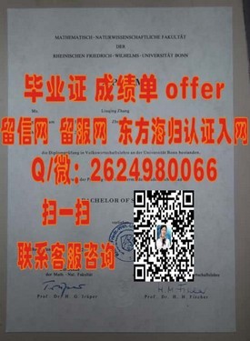 《蒙彼利埃大学文凭揭秘：国际认可度与就业前景解析》