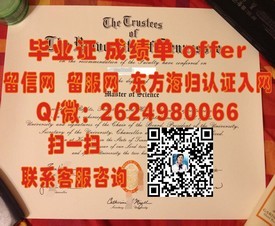 《丹麦南丹麦大学学历认证：权威解析毕业证含金量与全球认可度》