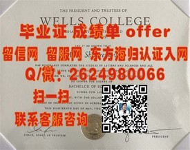 《筑波大学官方认证：揭秘真实毕业证样本与获取途径》