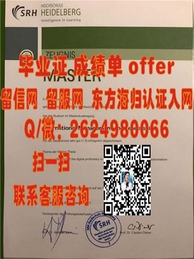 《解锁全球认可：揭秘国士馆大学文凭的含金量与就业前景》