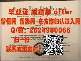 《九州国际大学证书解析：真实学位认证，留学就业双重保障》