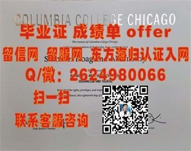 《九州国际大学文凭解析：揭秘真实学位含金量与就业前景》
