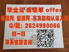 《日本中央学院大学学位证书详解：毕业证背后的学术实力与价值揭秘》
