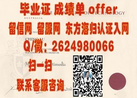 《麻省理工学院毕业证背后的荣耀：揭秘真实含金量与职场价值》