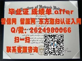 《佛罗里达理工学院毕业证揭秘：权威认证，职场通行证背后的故事》